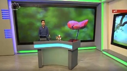 سماجی پروگرام ۔ زندگی سلام