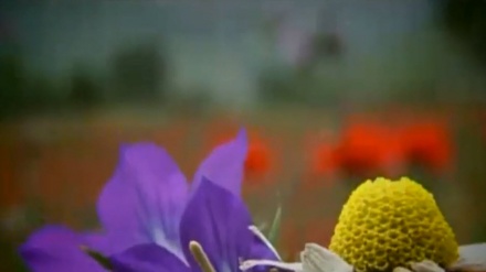 گۆرانیەکی خۆش بە دەنگی فواد پێشەوا