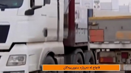 بەشێک  لە به‌رنامه‌ی زایەڵه - 10-08-2020