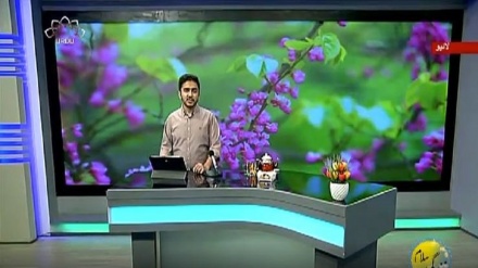 سماجی پروگرام ۔ زندگی سلام