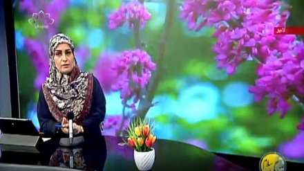 سماجی پروگرام ۔ زندگی سلام