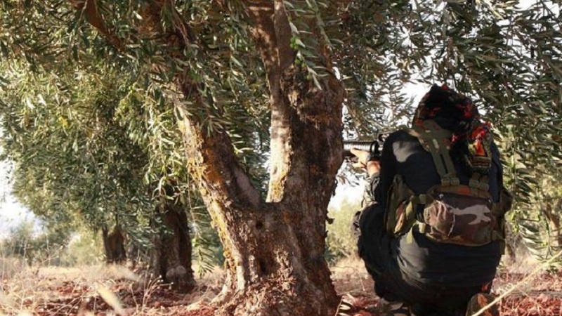 Li Şehbayê di navbera hêzên Kurdî û çeteyên Tirkiyê de şer derket 