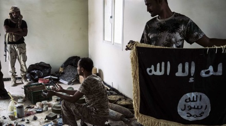 یمن، داعشی جراثیم فرار کر گئے!