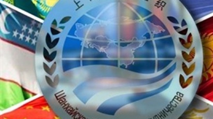 هماهنگ کننده ازبکستانی: شانگهای تمایلی به روابط رسمی با طالبان ندارد