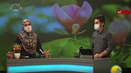 سماجی پروگرام ۔ زندگی سلام