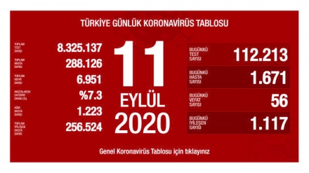 Türkiyədə son sutkada koronavirusdan 56 nəfər ölüb