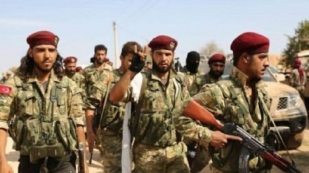 SOHR: Koma yekemîn a çeteyên Sûrî gihîşt Komara Azerbaycanê