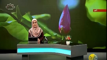 سماجی پروگرام ۔ زندگی سلام