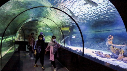 Isfahan; najveći tunel-akvarij u Iranu