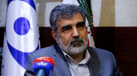 آئی اے ای اے کو یورینیم کی افزودگی سے متعلق تہران کے عزم سے آگاہ کردیا گیا: ایران