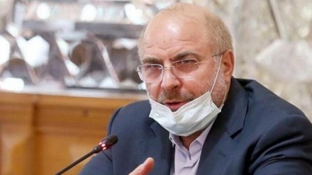 İran İslam Şurası Məclisinin sədri koronavirusa yoluxub