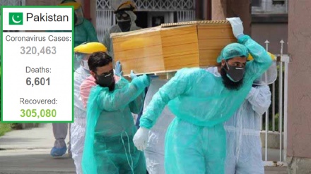 پاکستان میں کورونا مریضوں کے اعداد و شمار 