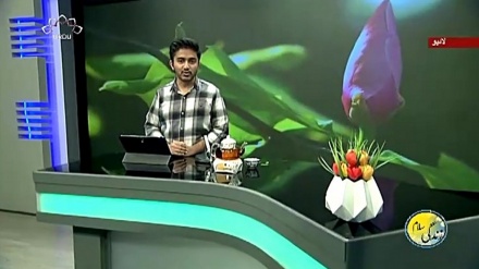 سماجی پروگرام ۔ زندگی سلام