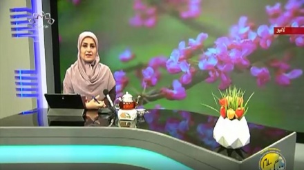 نسیم زندگی - سماجی پروگرام