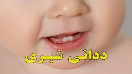 ددانی شیری
