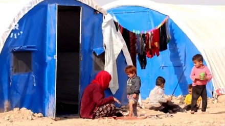 Li Serê Kaniyê Ereb li şûna Kurdan hatine bicihkirin 