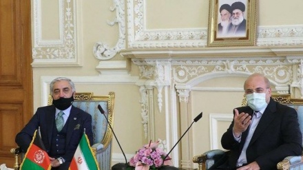 امریکہ کو اسلامی ممالک کی نہیں بلکہ اپنے مفادات کی فکر ہے: ایرانی اسپیکر