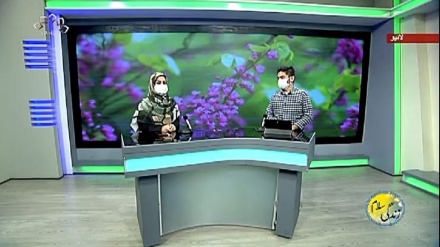 سماجی پروگرام ۔ زندگی سلام