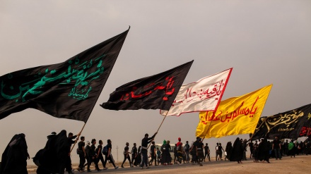 اربعین حسینی اور غاصب افواج کی سازشیں - خصوصی رپورٹ