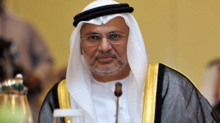 قطر میں ترکی کی موجودگي، خطے میں عدم استحکام کا باعث ہے: امارات