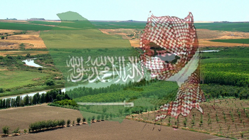 ملک میں سعودی سرمایہ کاری برداشت نہیں: عراقی قبائل