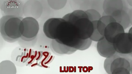 Ludi top