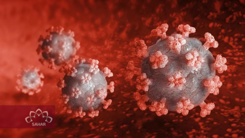 Azərbaycan Respublikasında koronavirusa daha 3 646 nəfər yoluxub