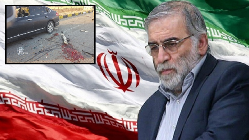 ایران، سینئر ایٹمی سائنس دان ٹارگٹ کلنگ میں شہید 