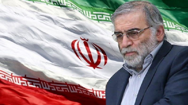 U blizini Teherana ubijen istaknuti iranski naučnik za nuklearnu energiju