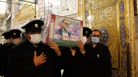 Meytê paqij ê zanyarê navokî şehîd Muhsin Fexrîzade li herema îmam Reza (S)