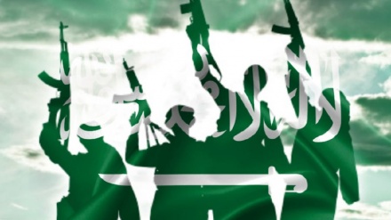 سعودی عرب دہشتگردوں کی پشت پناہی میں ملوث