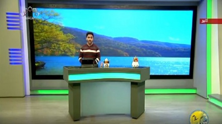 سماجی پروگرام ۔ زندگی سلام