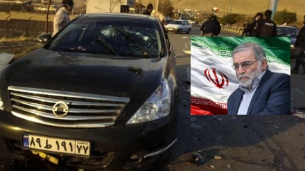 Sionist rejimlə münafiqlərin İranın nüvə aliminin terrorunda rolu