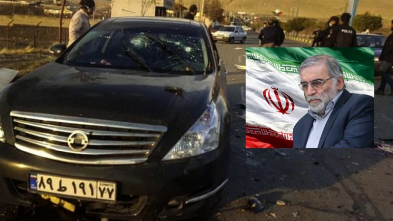 Sionist rejimlə münafiqlərin İranın nüvə aliminin terrorunda rolu