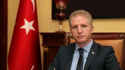 Davud Gül: 