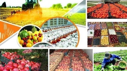 ایران کی زرعی مصنوعات کی برآمدات میں چھبیس فیصد کا اضافہ 