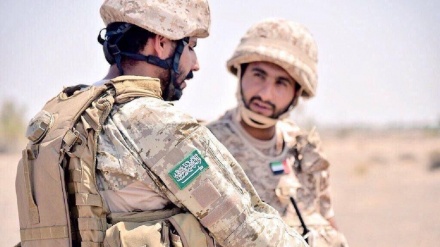 یمن، جزیرہ سقطری میں سعودی عرب کی فوجی سرگرمیوں ميں اضافہ