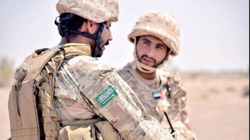 یمن، جزیرہ سقطری میں سعودی عرب کی فوجی سرگرمیوں ميں اضافہ