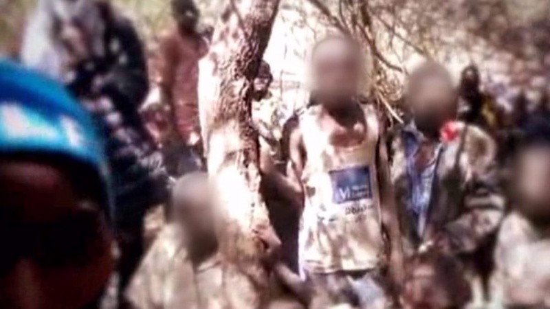 Oslobođeno više od 340 otetih nigerijskih dječaka
