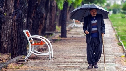 بارینی باران و سرووشتی جوان له پارێزگای کرماشان