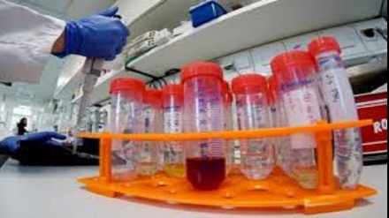 Braziliyada koronavirusun yeni ştammı aşkar olunub