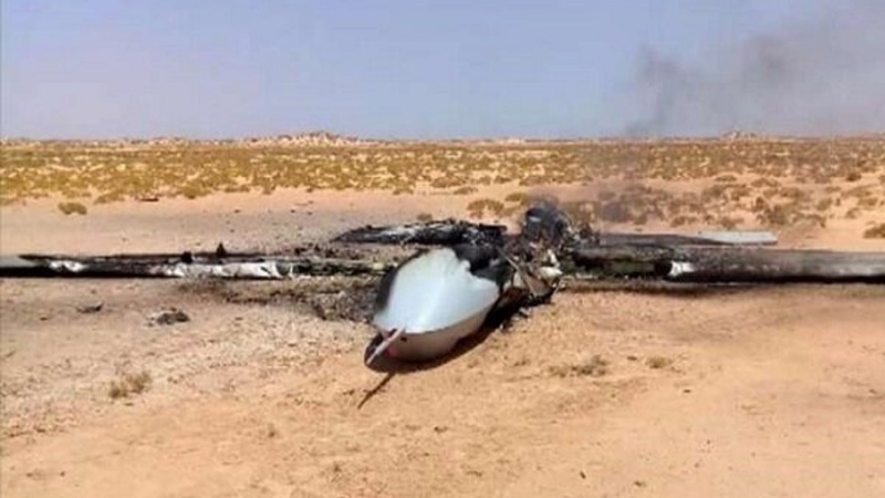 Sionist rejim PUA-sı süqut edib