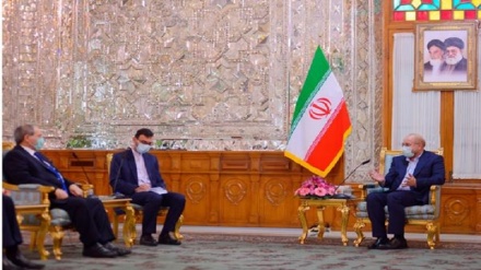 امت اسلامی کا اتحاد دشمنوں پر فتح کا ضامن ہے : ایرانی پارلیمنٹ کے اسپیکر