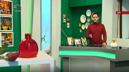 نسیم زندگی - سماجی پروگرام