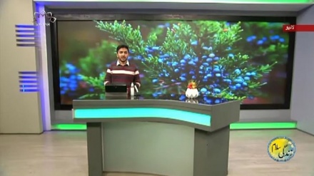 سماجی پروگرام ۔ زندگی سلام