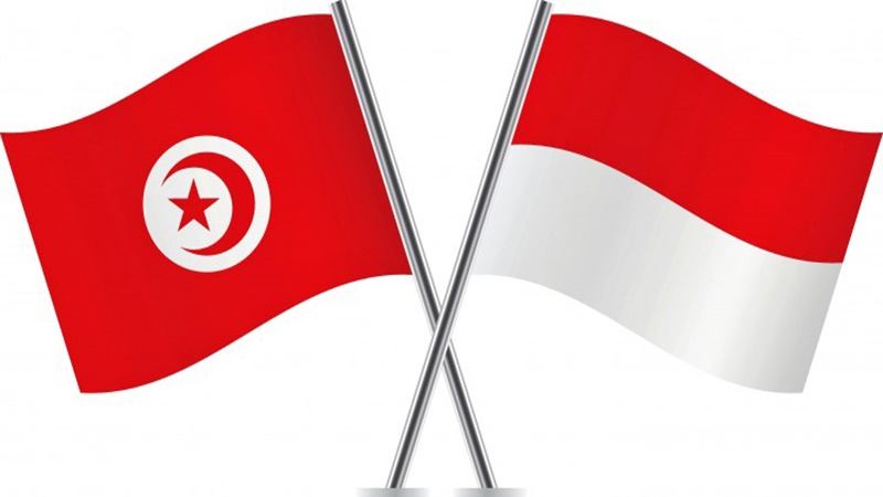 اسرائیل کے ساتھ تعلقات برقرار نہیں کرسکتے، انڈونیشیاء اور تیونس کا اعلان