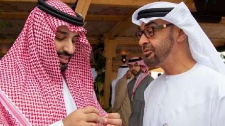 امارات تیل کی دنیا میں سعودی عرب کو پیچھے ڈھکیلنے کے درپے