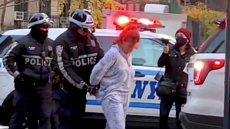 امریکی ریاست نیویارک میں مظاہرین پر کار چڑھا دی گئی