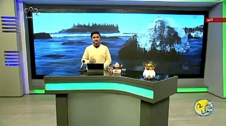 سماجی پروگرام ۔ زندگی سلام