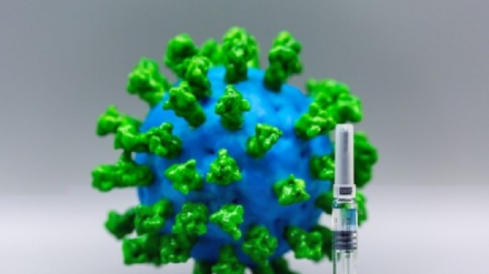 انسانی جسم کورونا وائرسز کے حملے کو فراموش نہيں کرتا